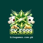 SK-E999 Game