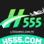 H555 Game