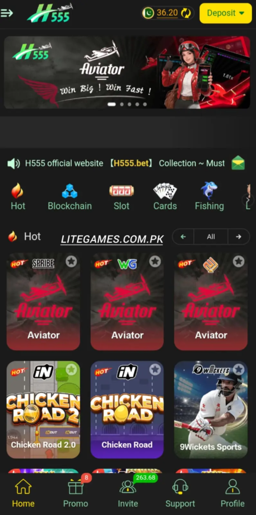 H555 Game