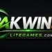 PAKWIN88 Game